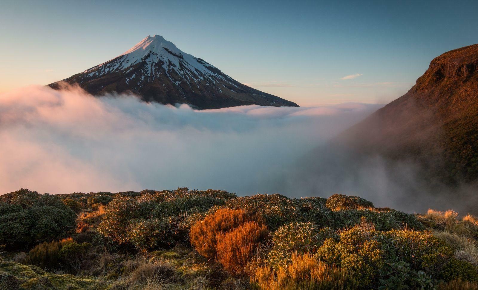 mountain mist