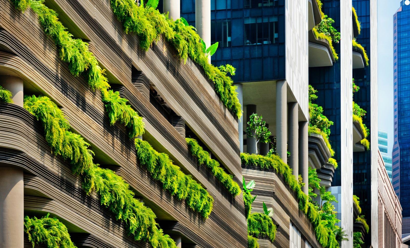 Green city building