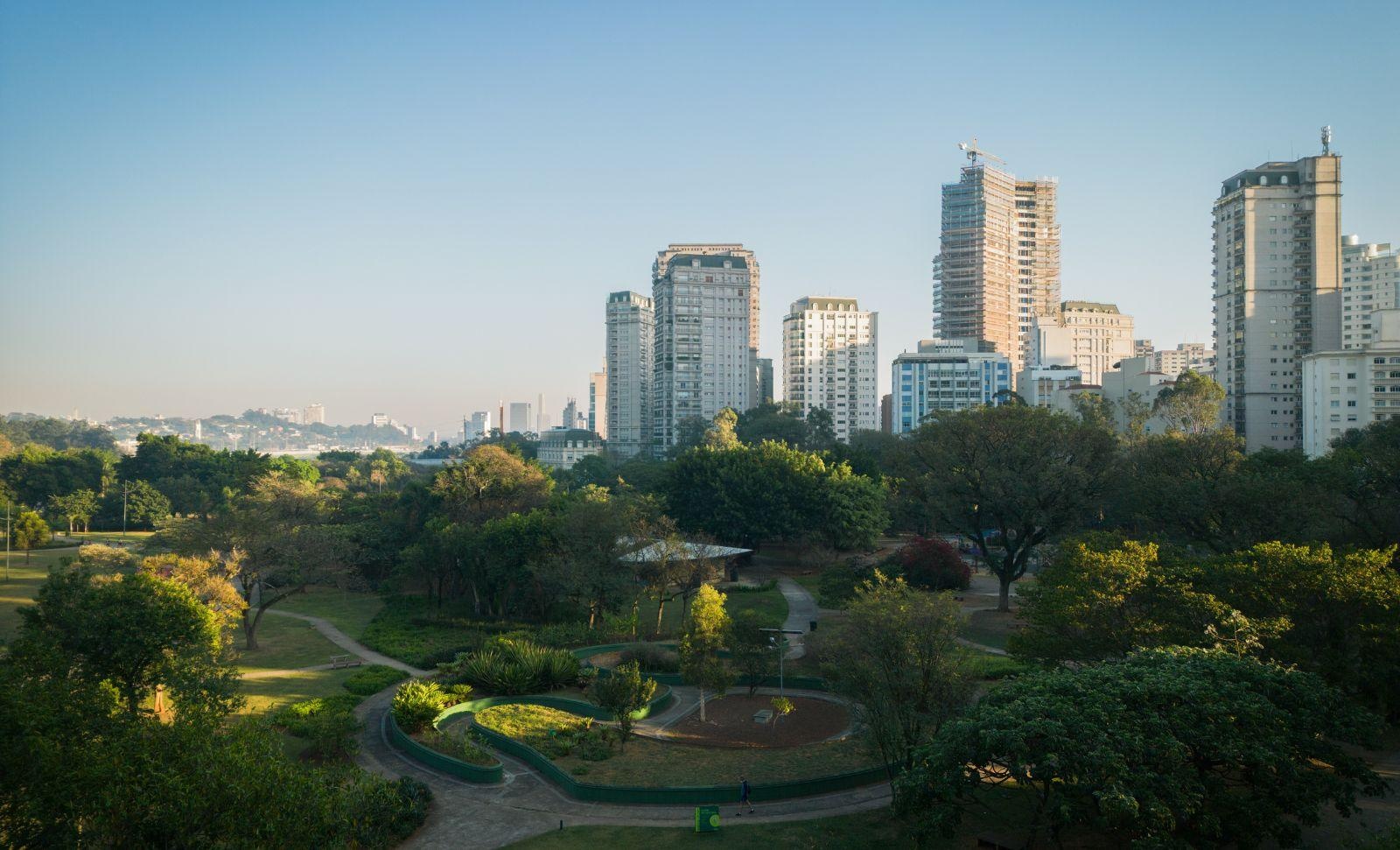 city trees green