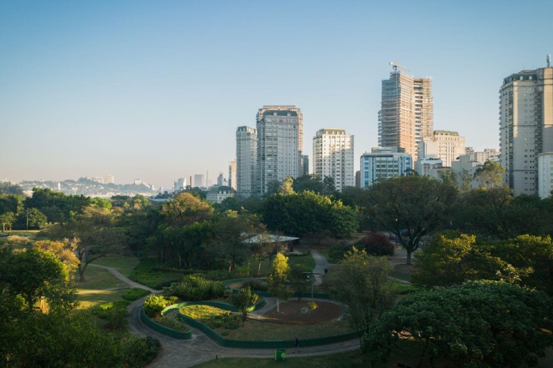 city trees green