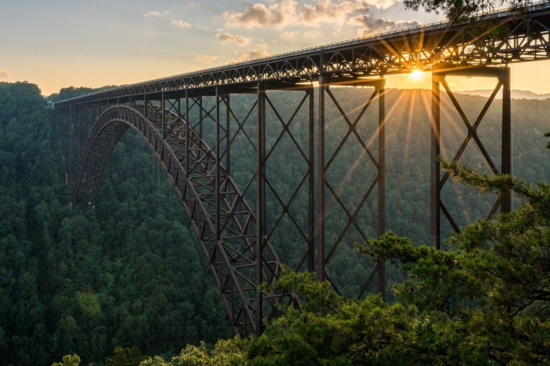 Sunset bridge forest