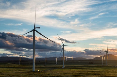 Wind turbines in field